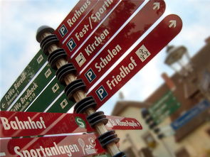 乐鱼体育app网址-高校运动队选拔机制公平性研究，高校运动队选拔机制公平性研究报告